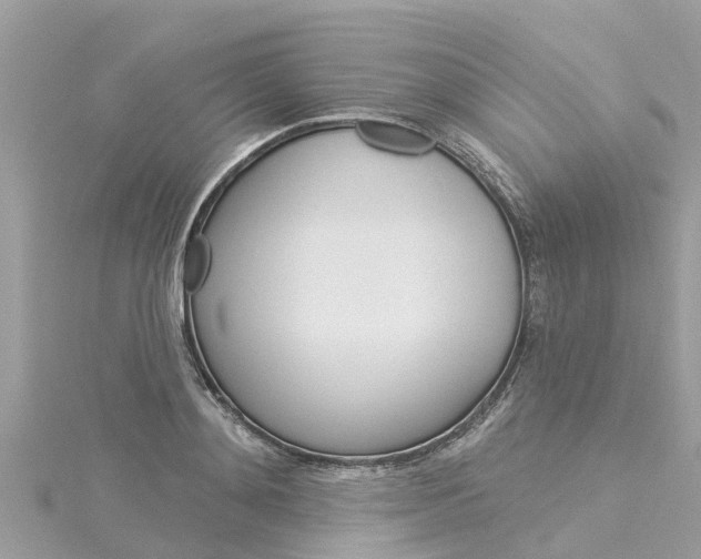 X0000116040892200911201019
