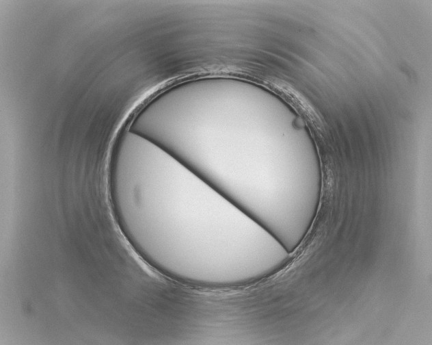 X0000116040894200911201019