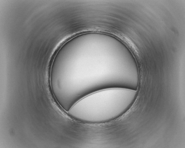 X0000116040896200911201019