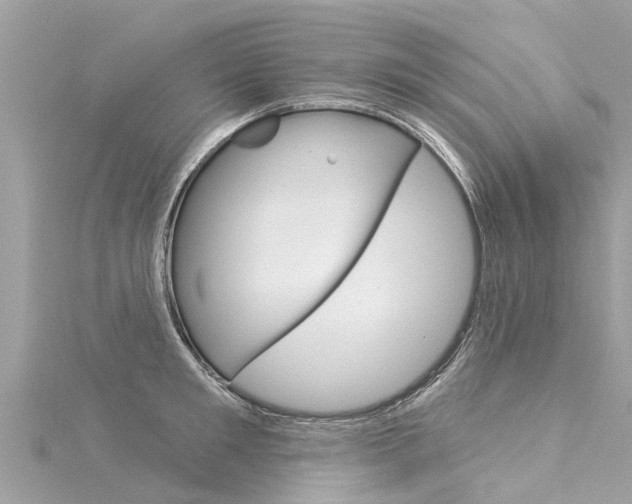 X0000116040901200911201019