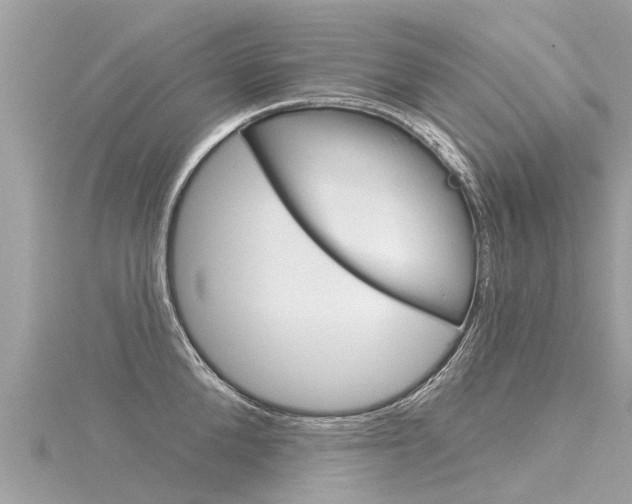 X0000116040904200911201019