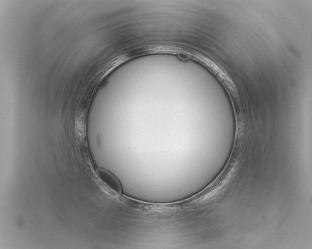 X0000116040905200911201019