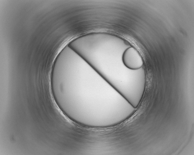 X0000116040906200911201019