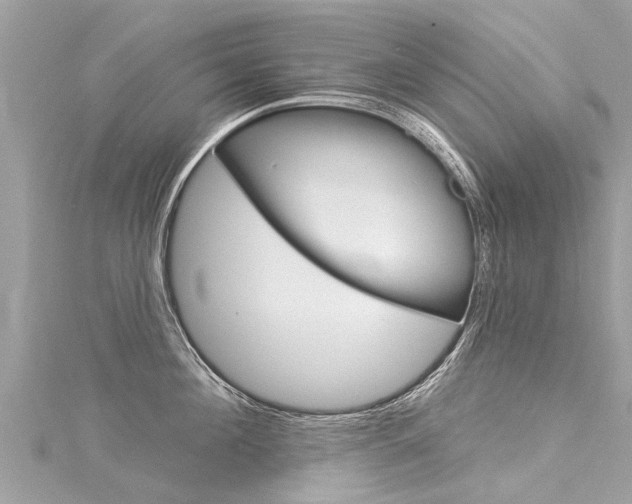 X0000116040908200911201019