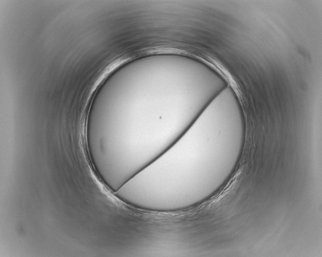 X0000116040909200911201019