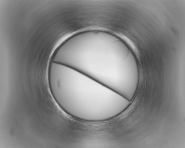 X0000116040910200911201019