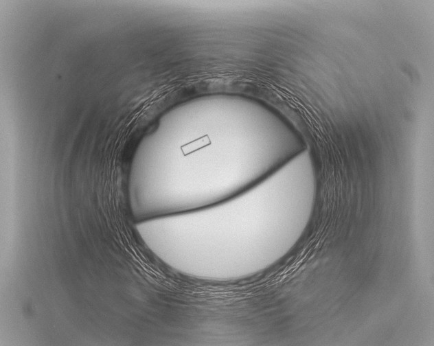 X0000116040914200911201018