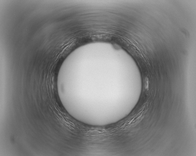 X0000116040915200911201018