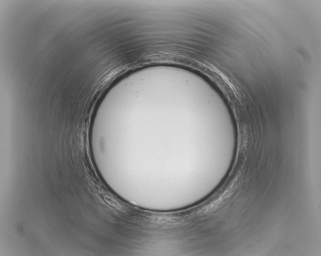X0000116040921200911201018