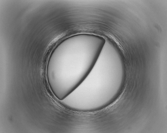 X0000116040922200911201018
