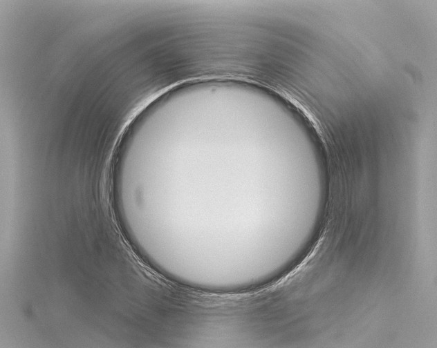 X0000116040925200911201018