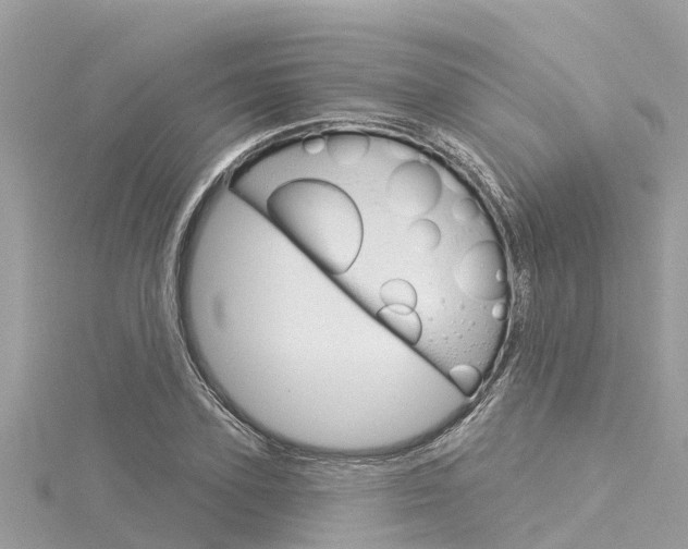 X0000116040931200911201018