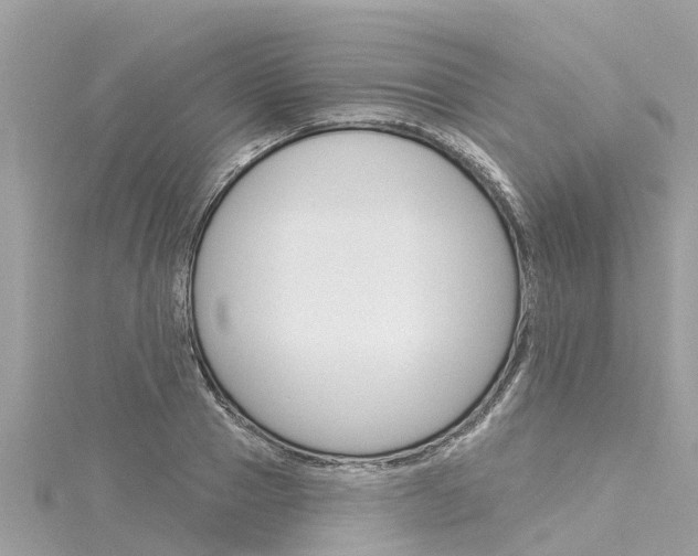 X0000116040937200911201018