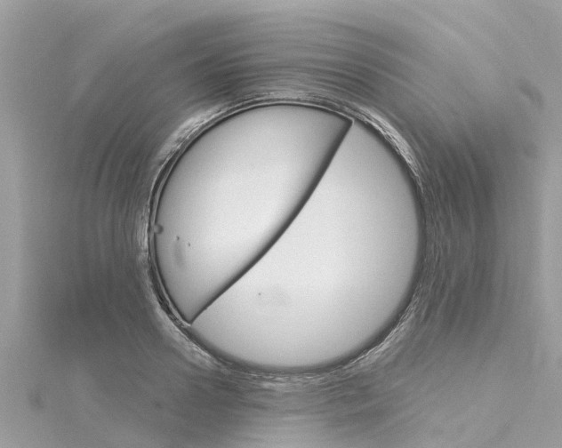X0000116040938200911201018