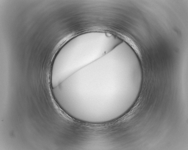 X0000116040954200911201019