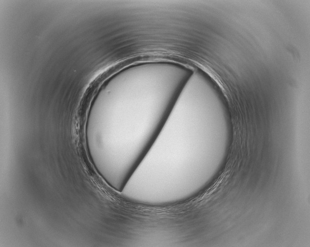 X0000116040971200911201018