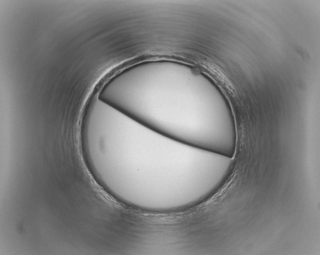 X0000116040976200911201018