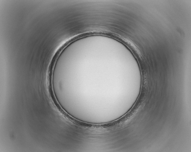 X0000116040983200911201017