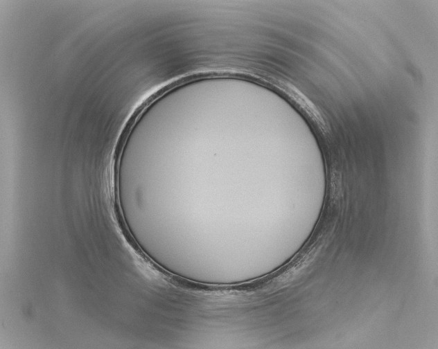 X0000116040988200911201017
