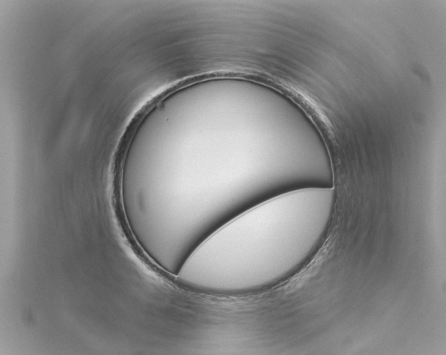 X0000116040991200911201017