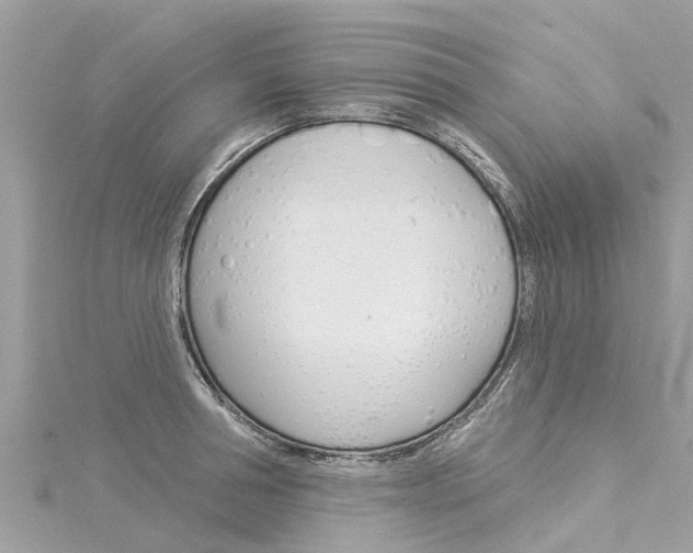 X0000116040994200911201017