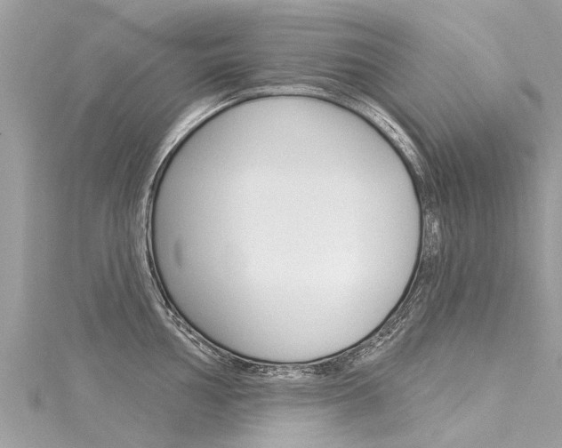 X0000116041002200911201017