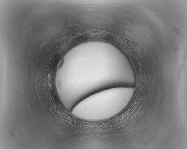 X0000116041010200911201016