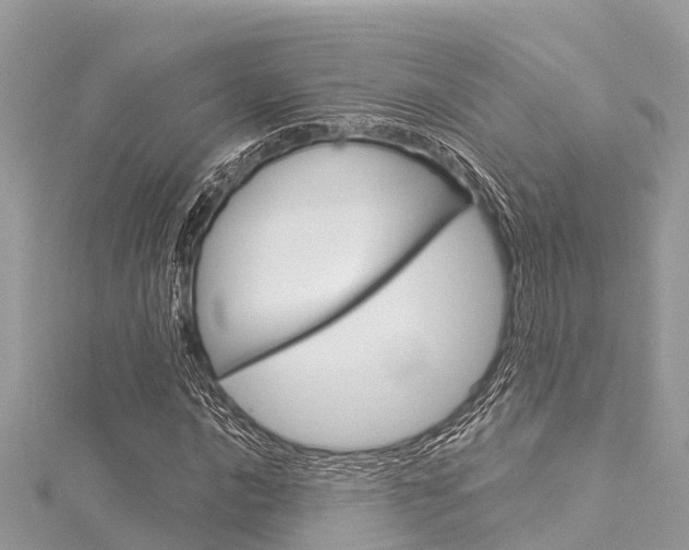 X0000116041016200911201016