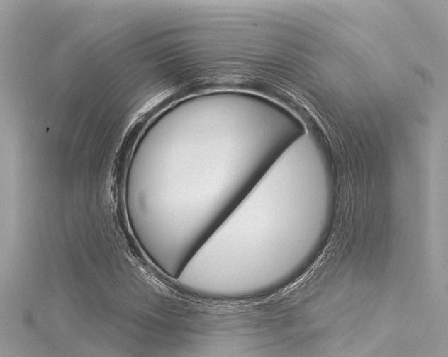 X0000116041018200911201016