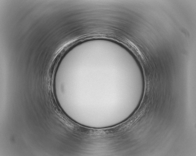 X0000116041019200911201016