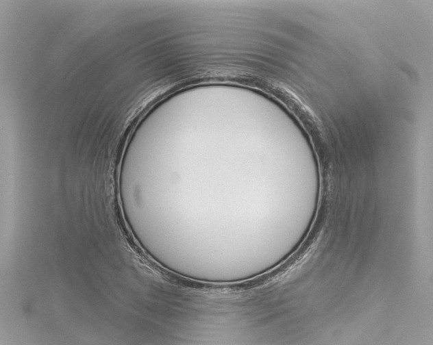 X0000116041025200911201017