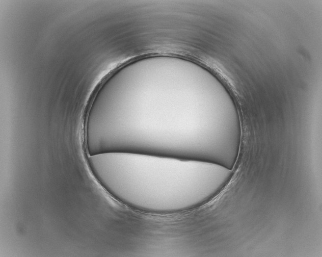 X0000116041040200911201017