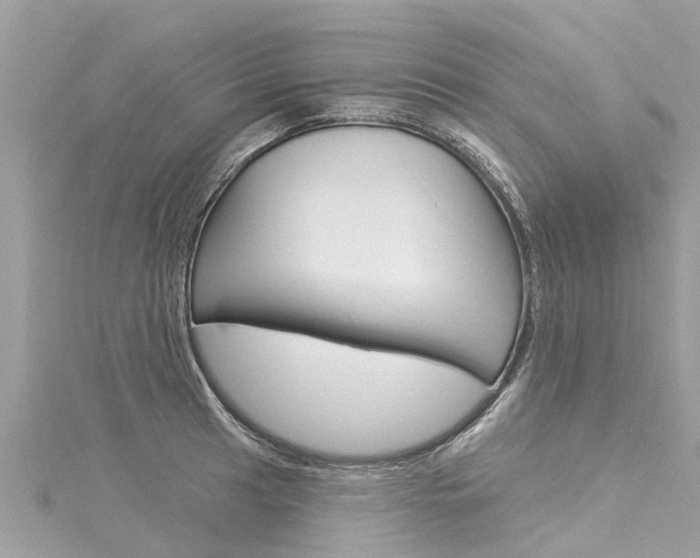 X0000116041041200911201017