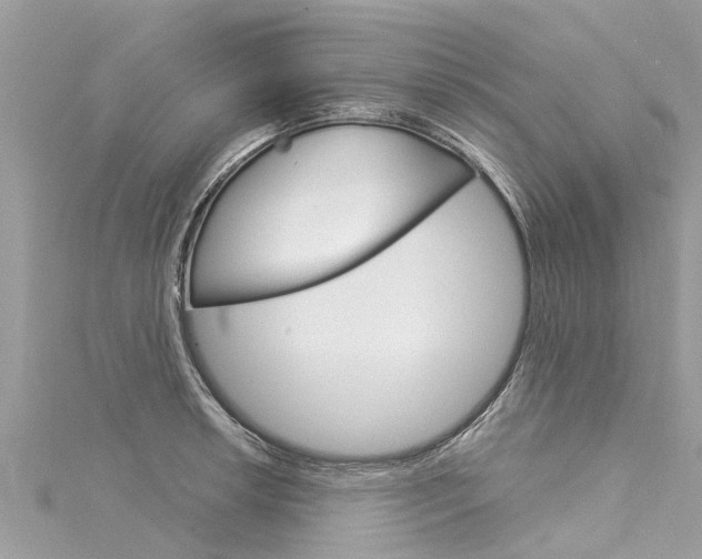 X0000116041042200911201017