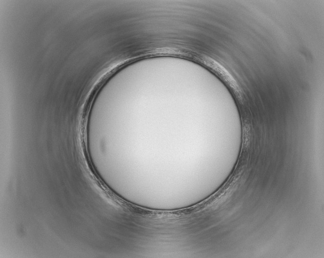 X0000116041043200911201017