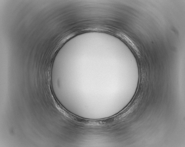 X0000116041049200911201017