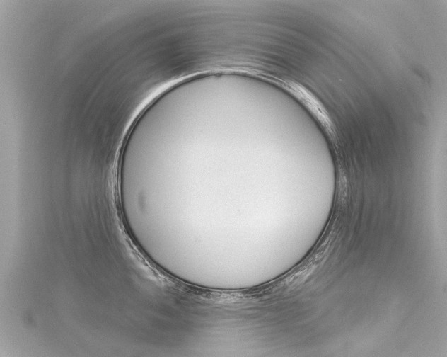 X0000116041052200911201017