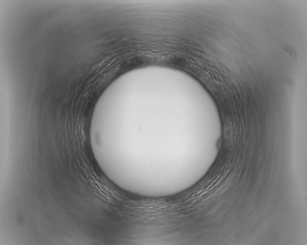 X0000116041058200911201016