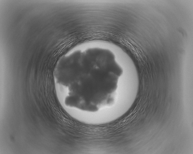 X0000116041059200911201016