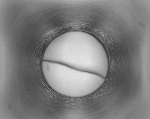 X0000116041062200911201016
