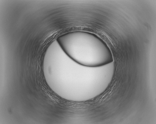 X0000116041064200911201016
