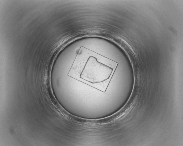 X0000116041065200911201016
