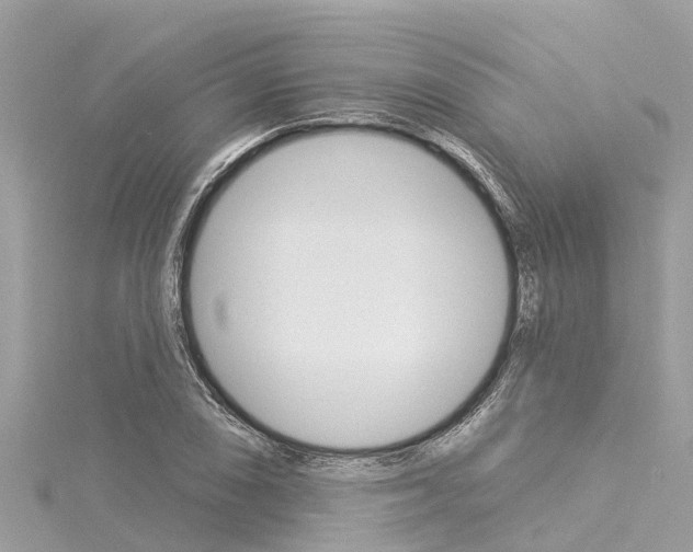 X0000116041074200911201016