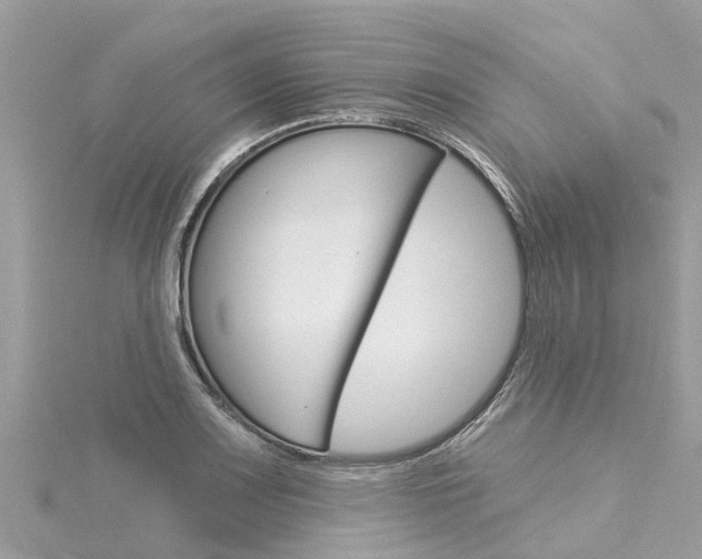 X0000116041083200911201016