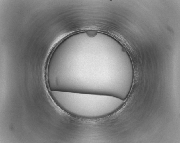 X0000116041086200911201016