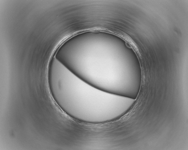 X0000116041096200911201016