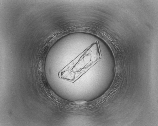 X0000116041110200911201015