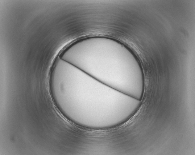 X0000116041119200911201015