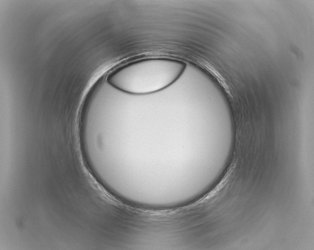 X0000116041122200911201015