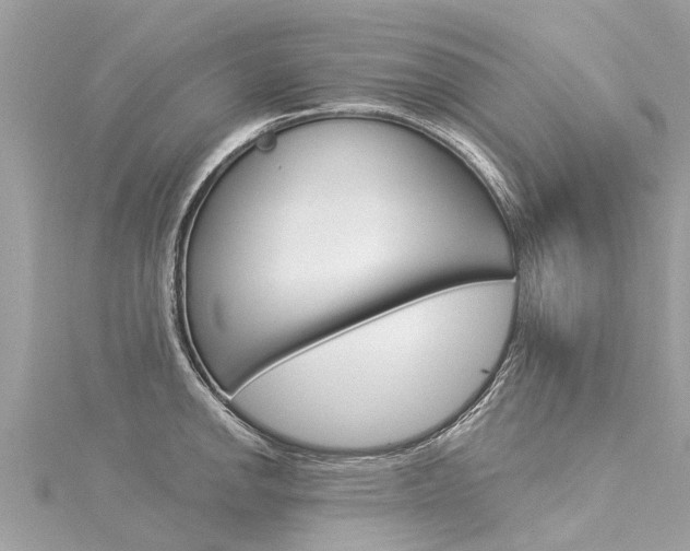 X0000116041142200911201016